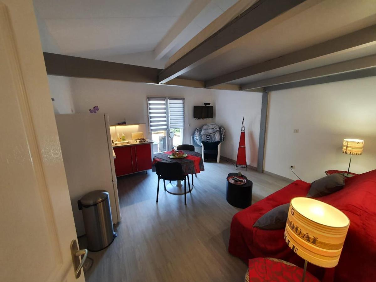 Dormir A Montauban Logements Carreyrat Calme Et Verdoyant Exterior foto