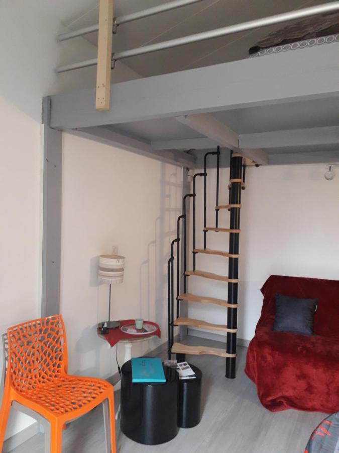 Dormir A Montauban Logements Carreyrat Calme Et Verdoyant Exterior foto