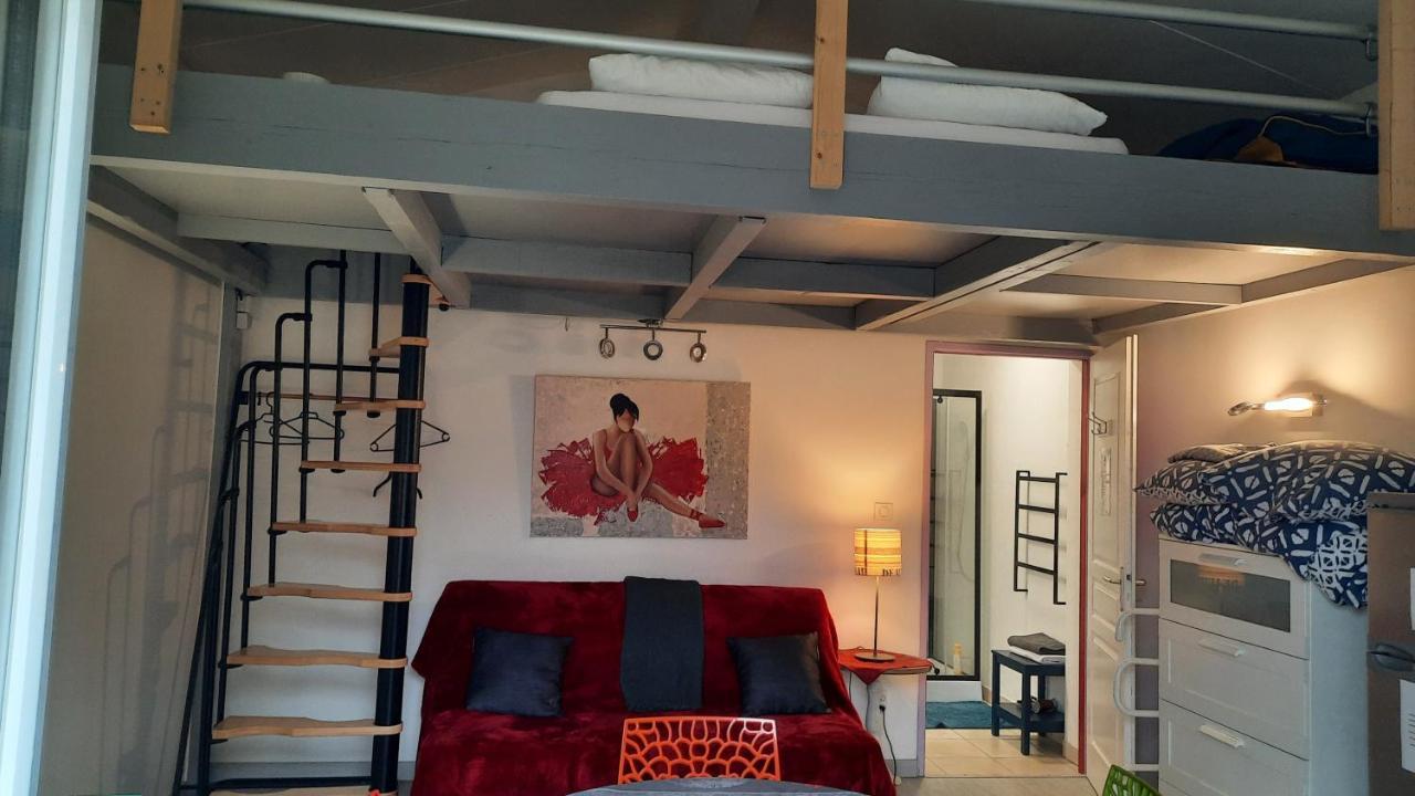 Dormir A Montauban Logements Carreyrat Calme Et Verdoyant Exterior foto